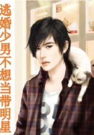 明星小说,明星小说中的璀璨人生